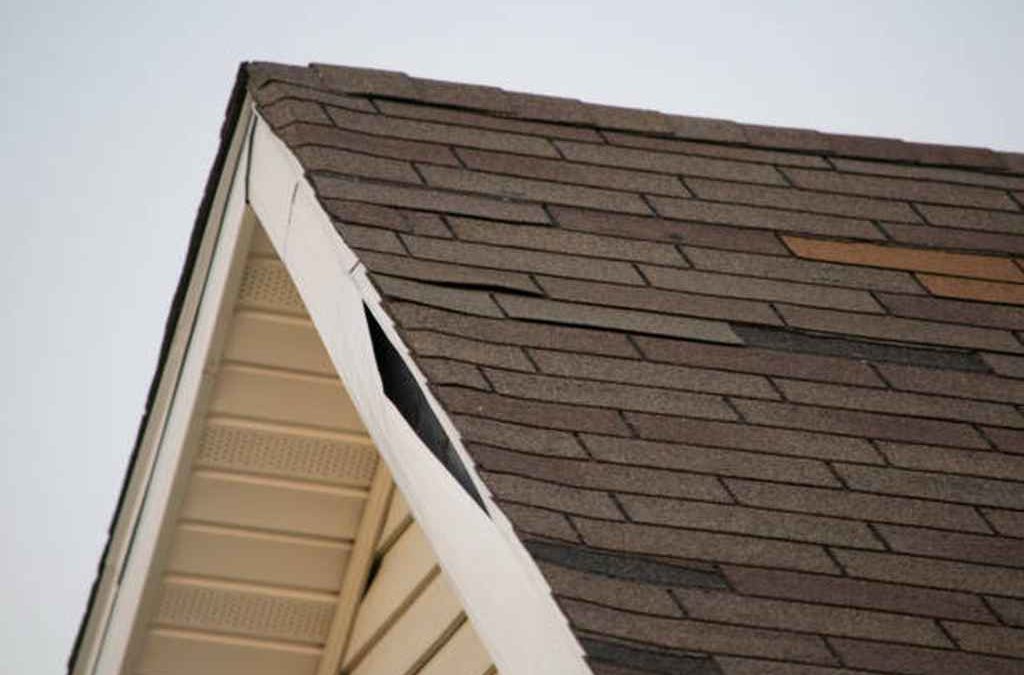 Typical Roof Damage Culprits In Branson